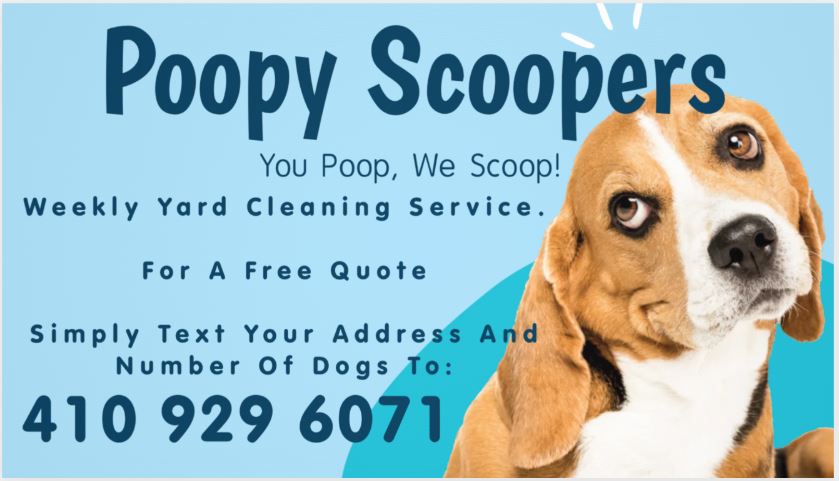 Poopy Scoopers - Photo 4