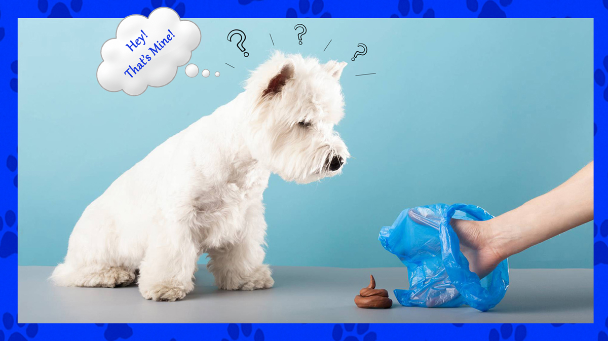 ScoopDawg Squad - Photo 3