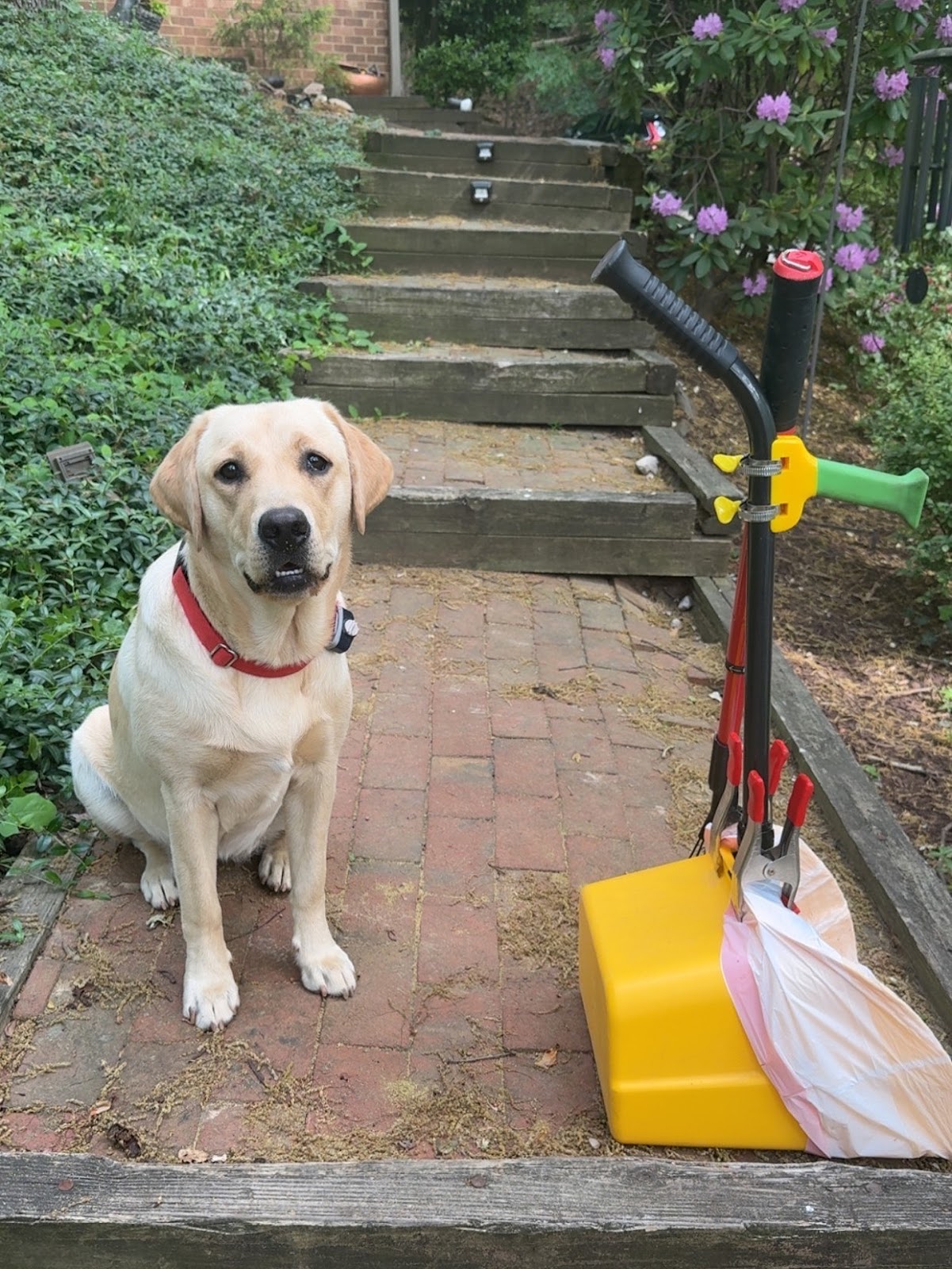 Scoop Squad - Photo 2