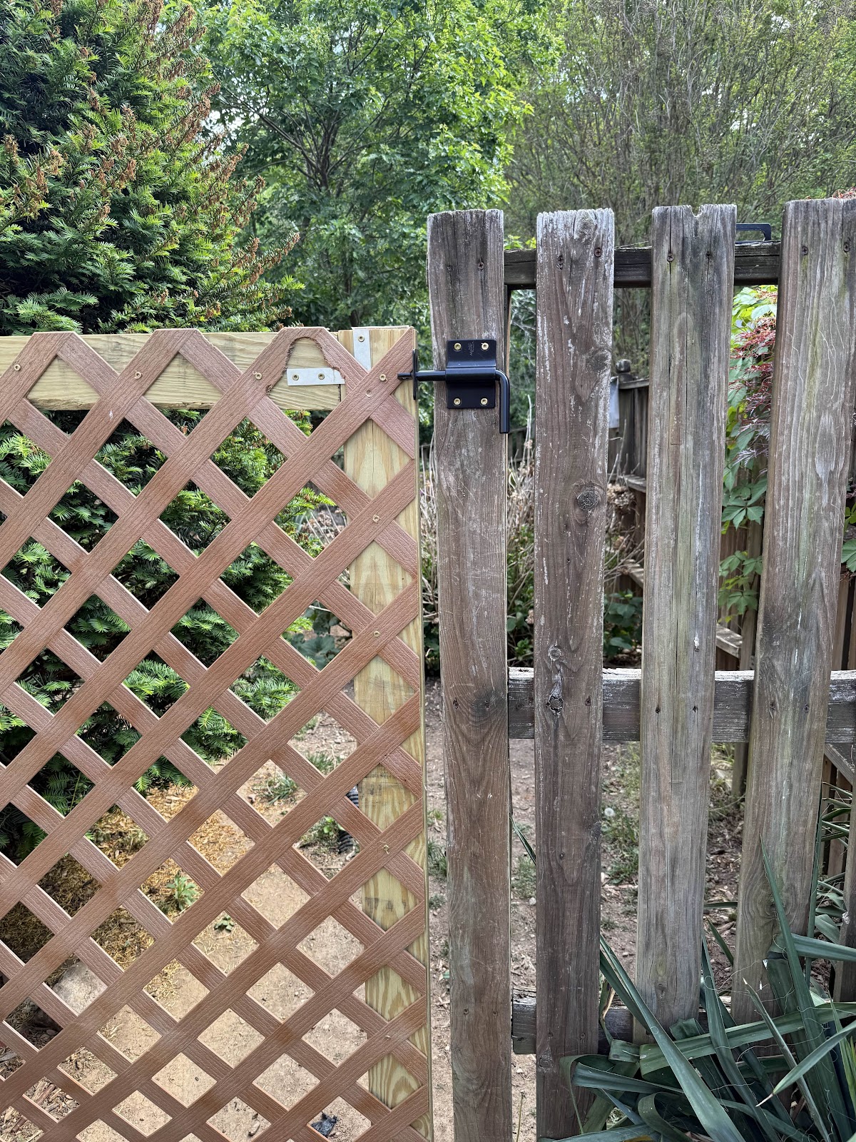 Scoop Squad - Photo 3