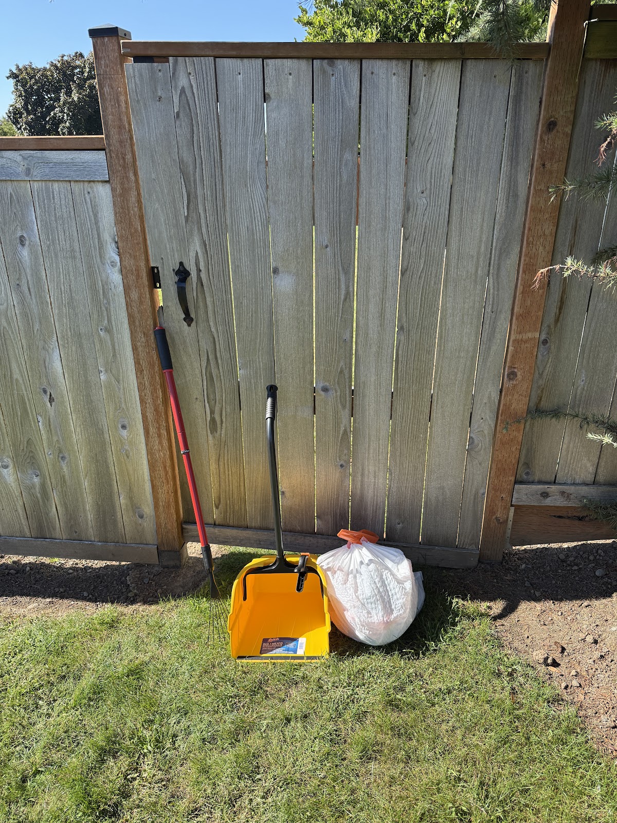 Scooper Troopers - Photo 2