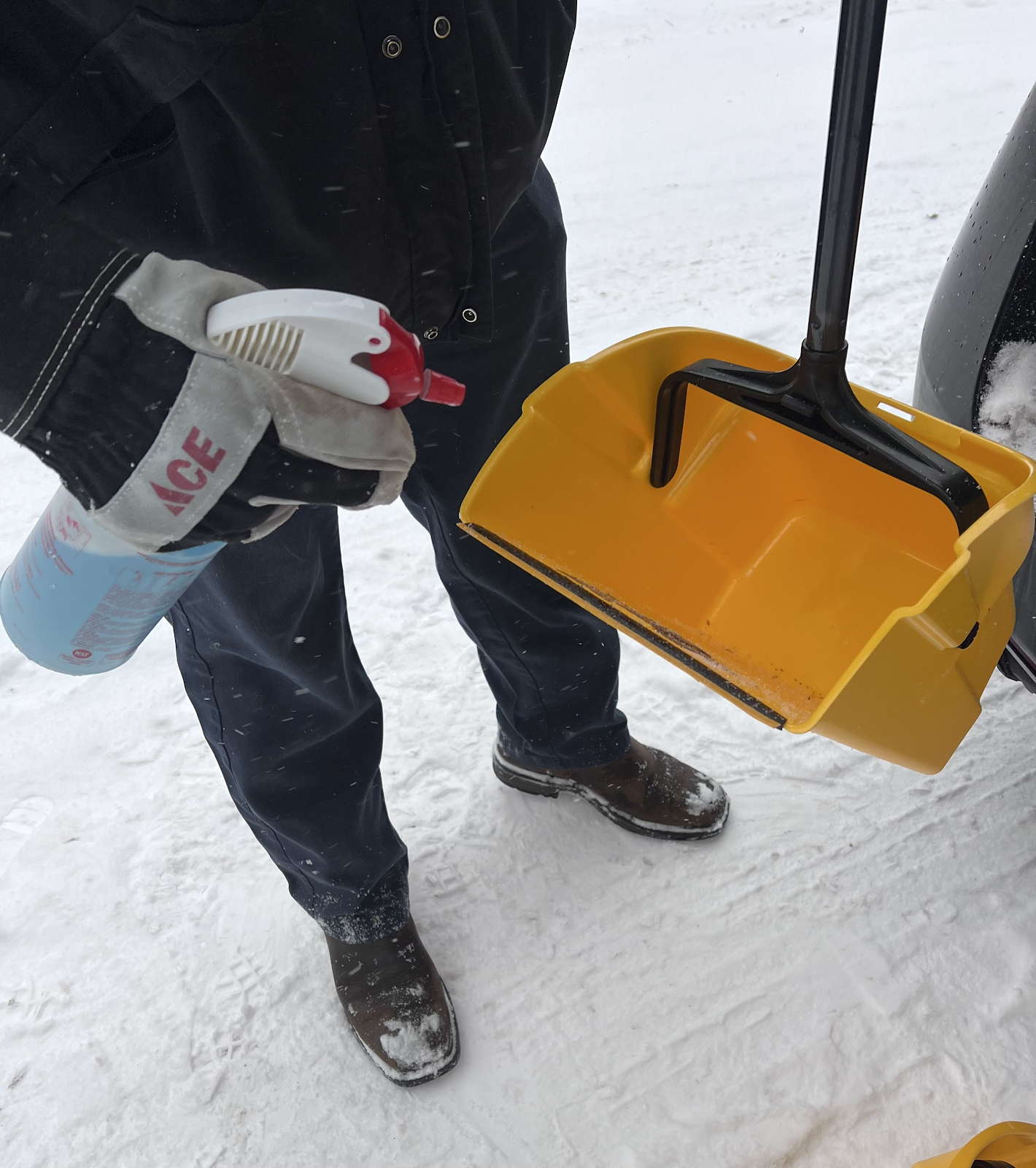 Poo Patrol Scoopers - Dog Waste Removal - Photo 4