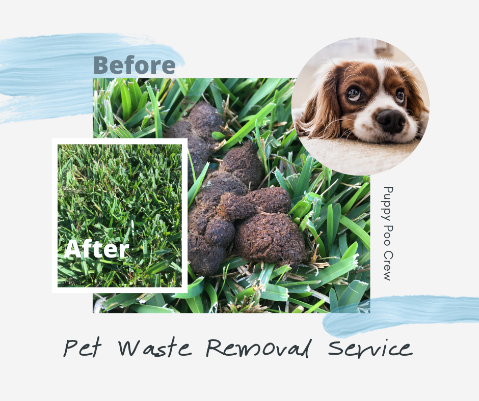 Puppy Poo Crew (pooper scooper and cleanup service) - Photo 2