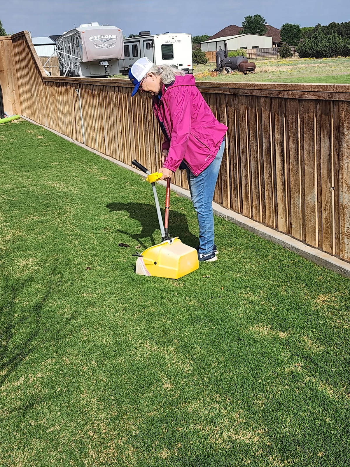 Scoopy Doo Too - Photo 2