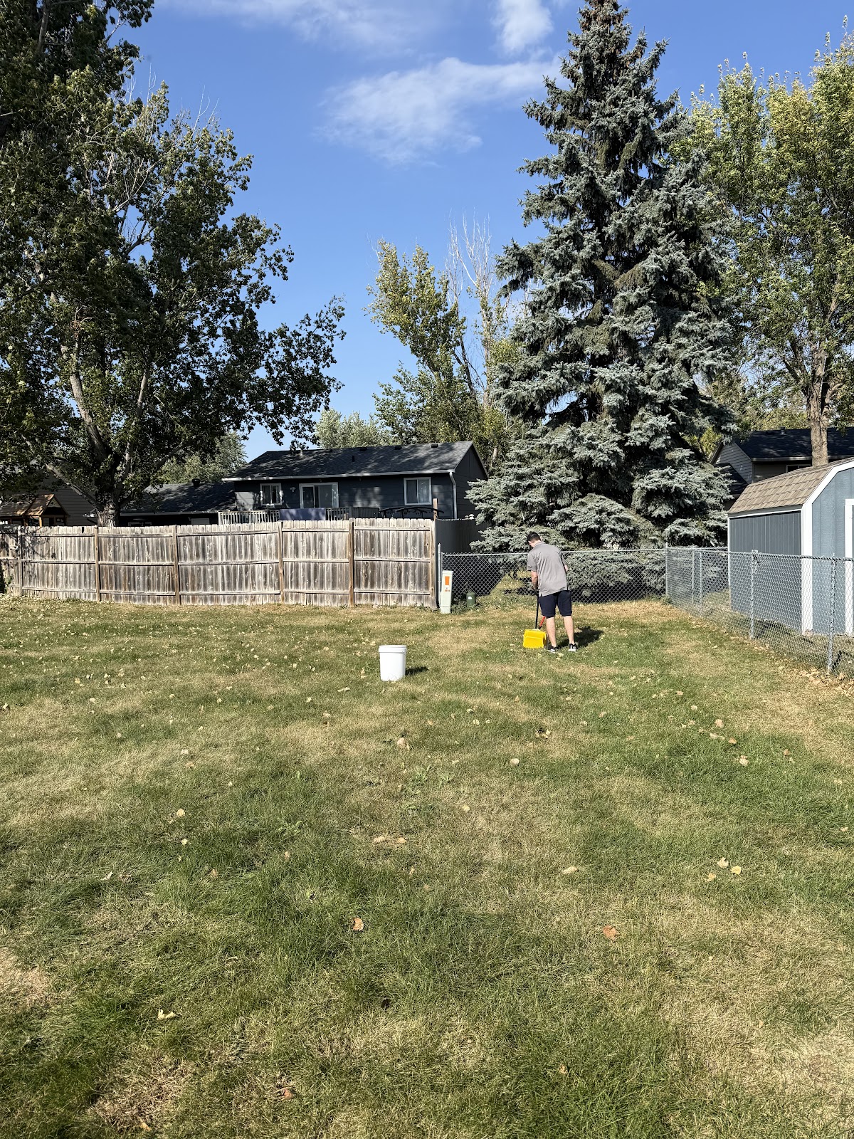 PetPile Pros - Pet Waste Removal Service - Photo 2