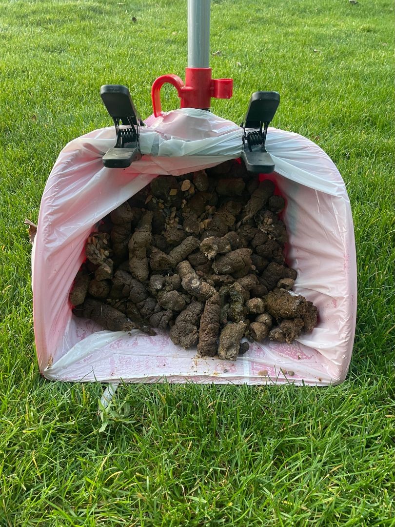 Scoop Doody - Photo 4