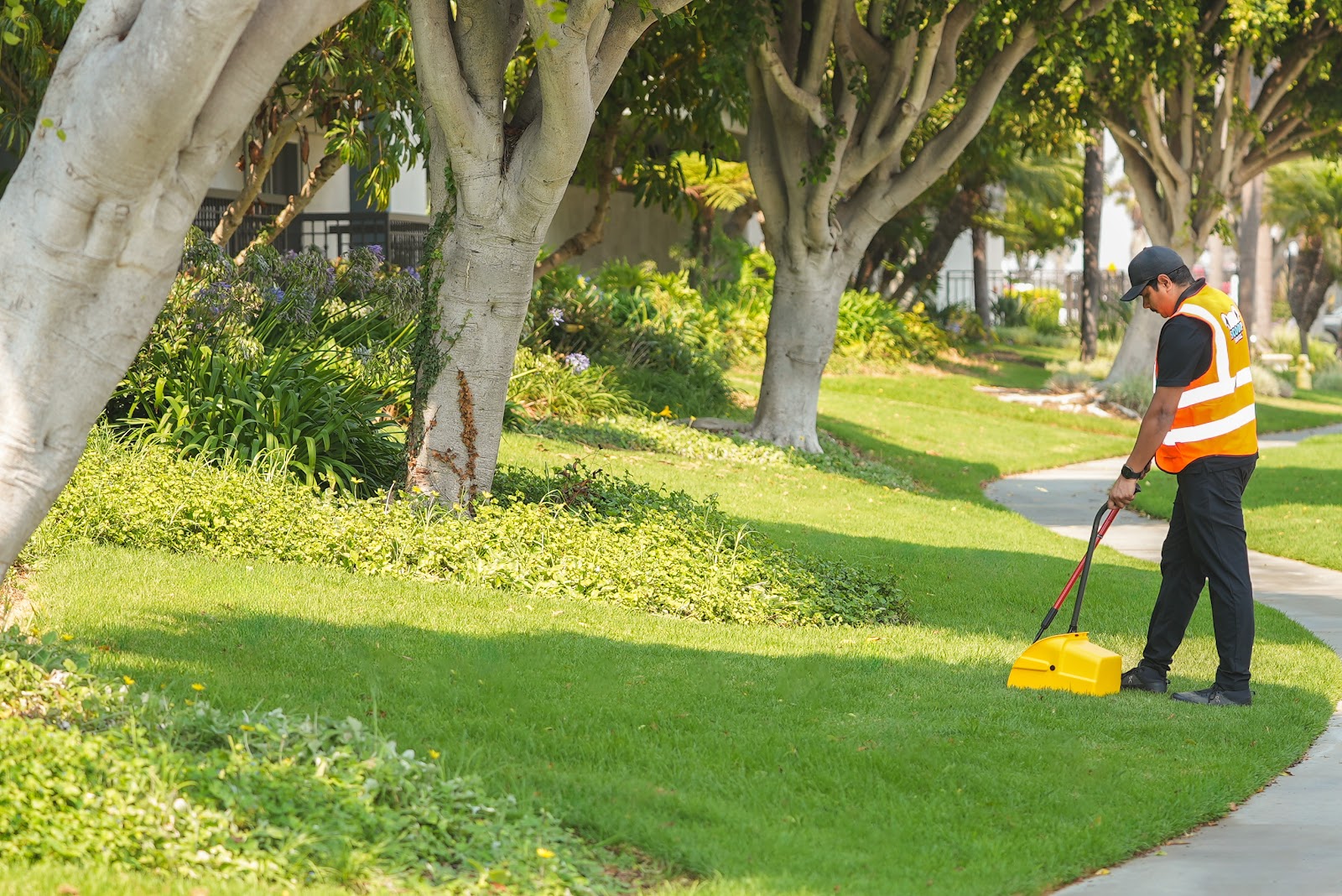 Scoop SoCal - Photo 2