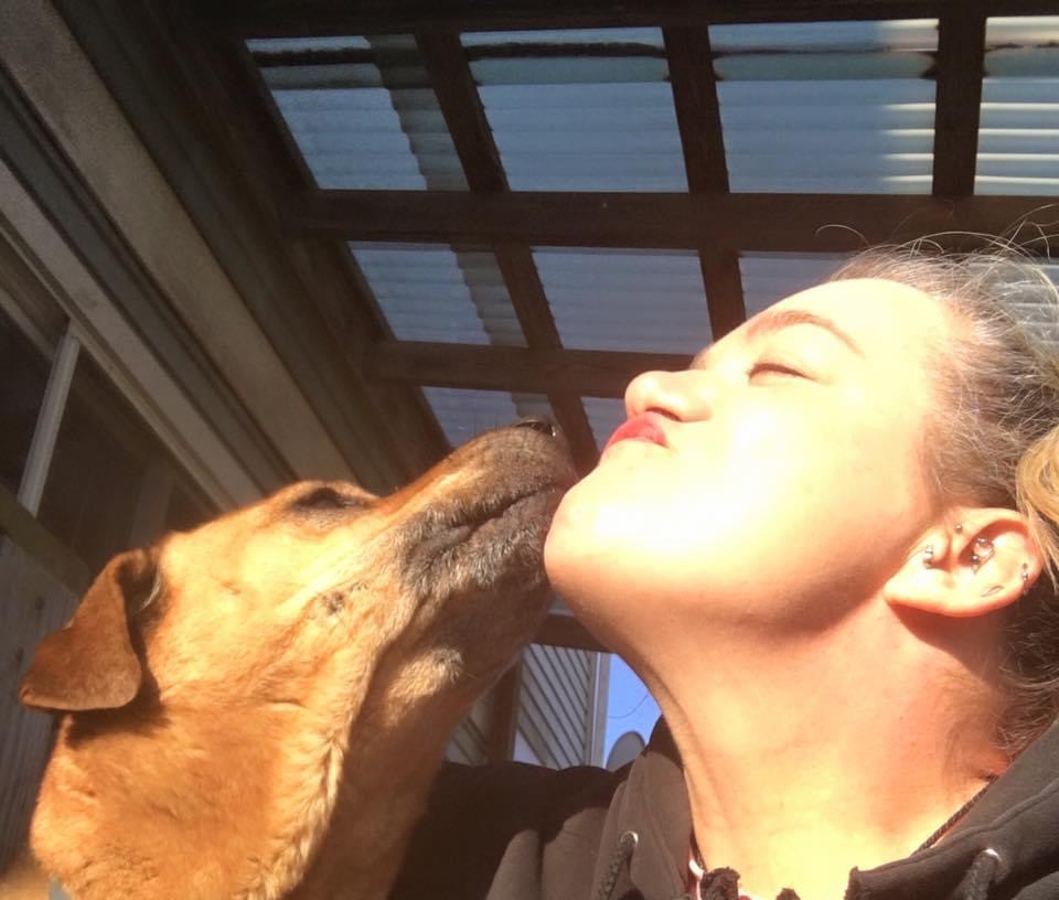 All Needs Pet Service