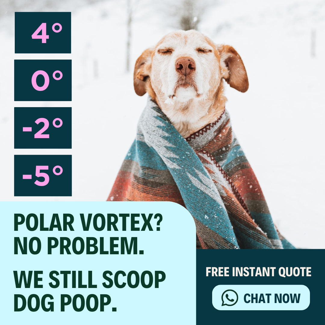 Doo Good Pooper Scoopers LLC - Photo 2