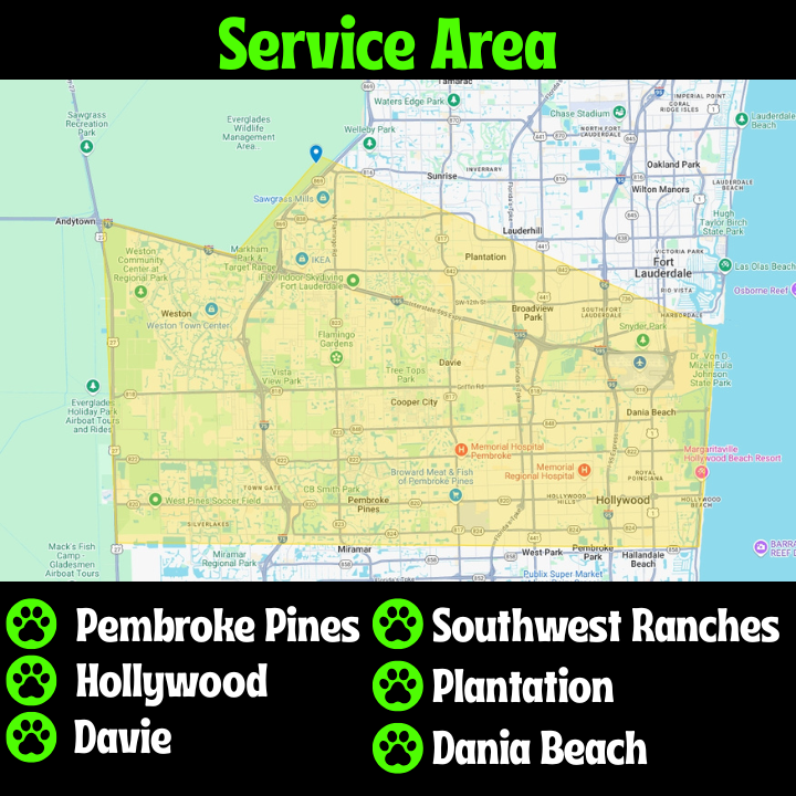 Scoopy Poos Crew - Photo 3