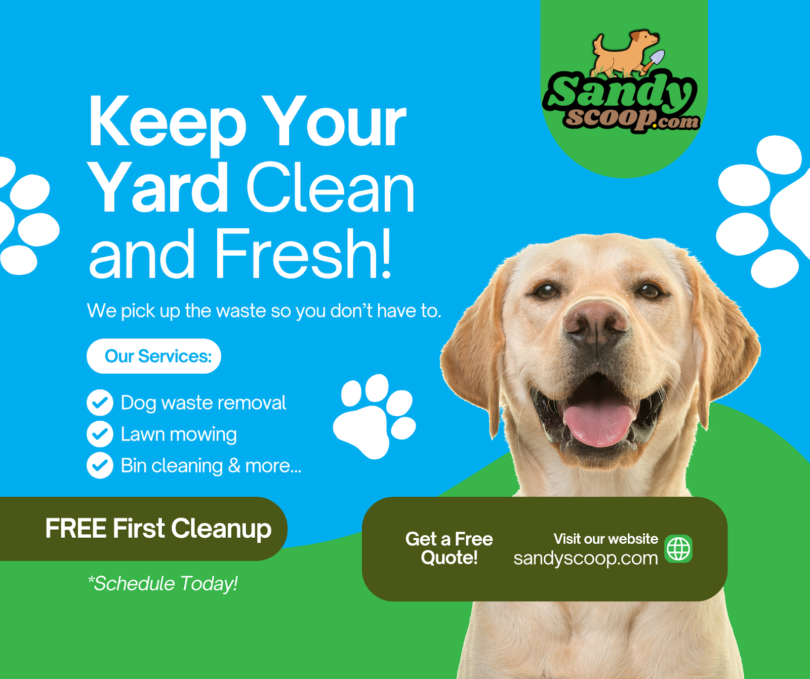 Sandy Scoop - Photo 2