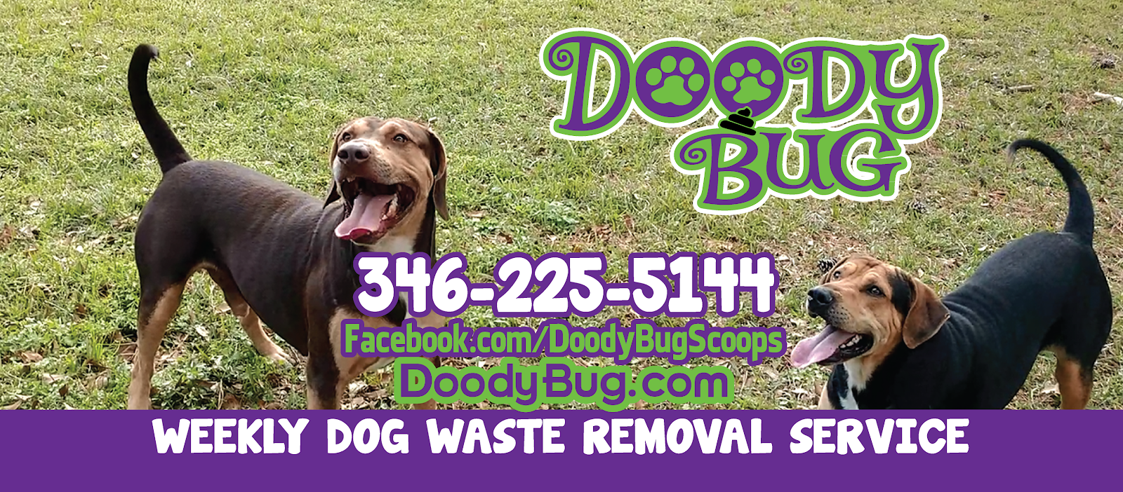 Doody Bug Dog Poop Scooping Service