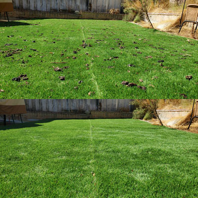 Scoop Masters Nashville - Photo 2