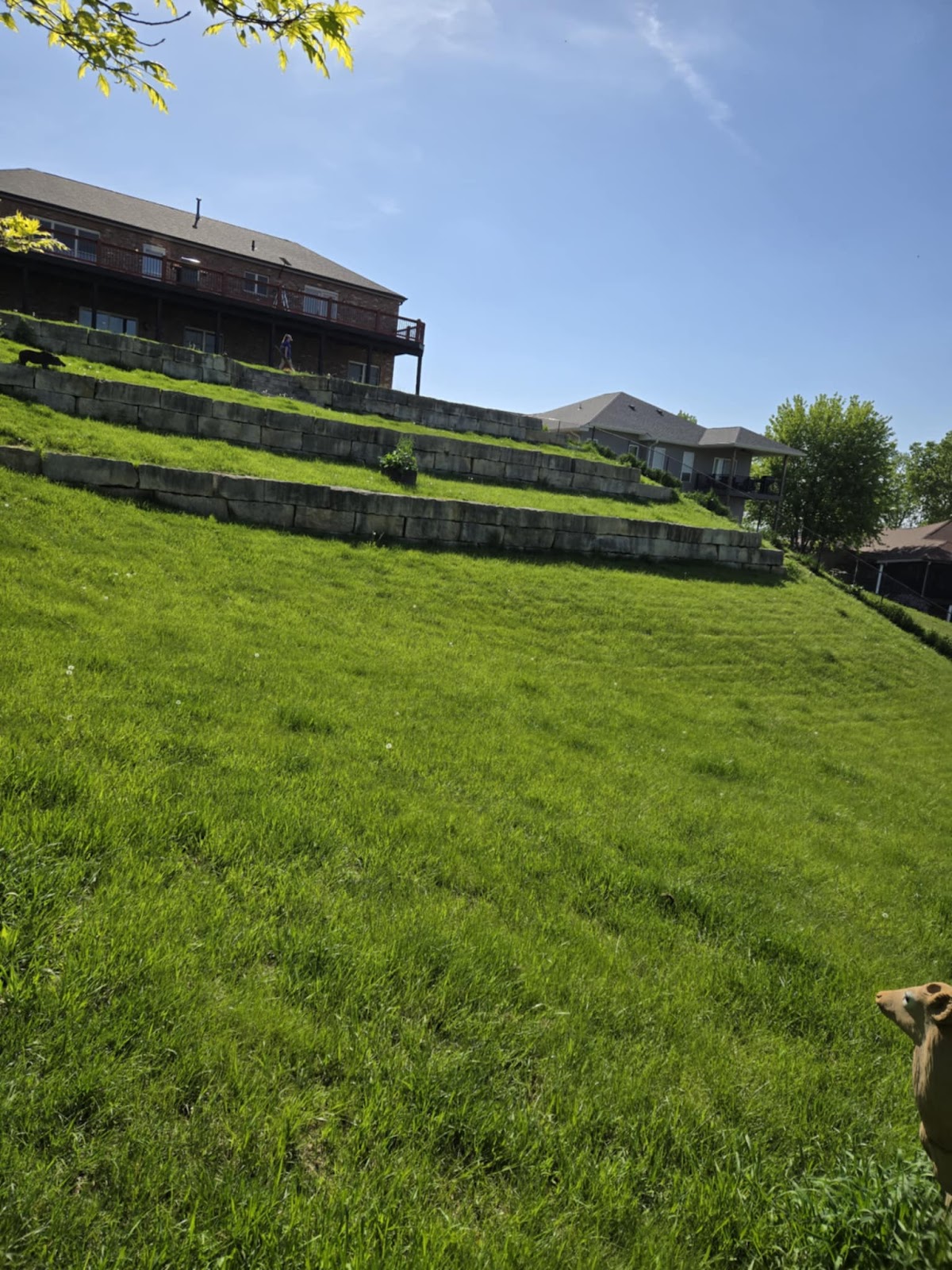 V's Dog Waste Removal - Photo 2