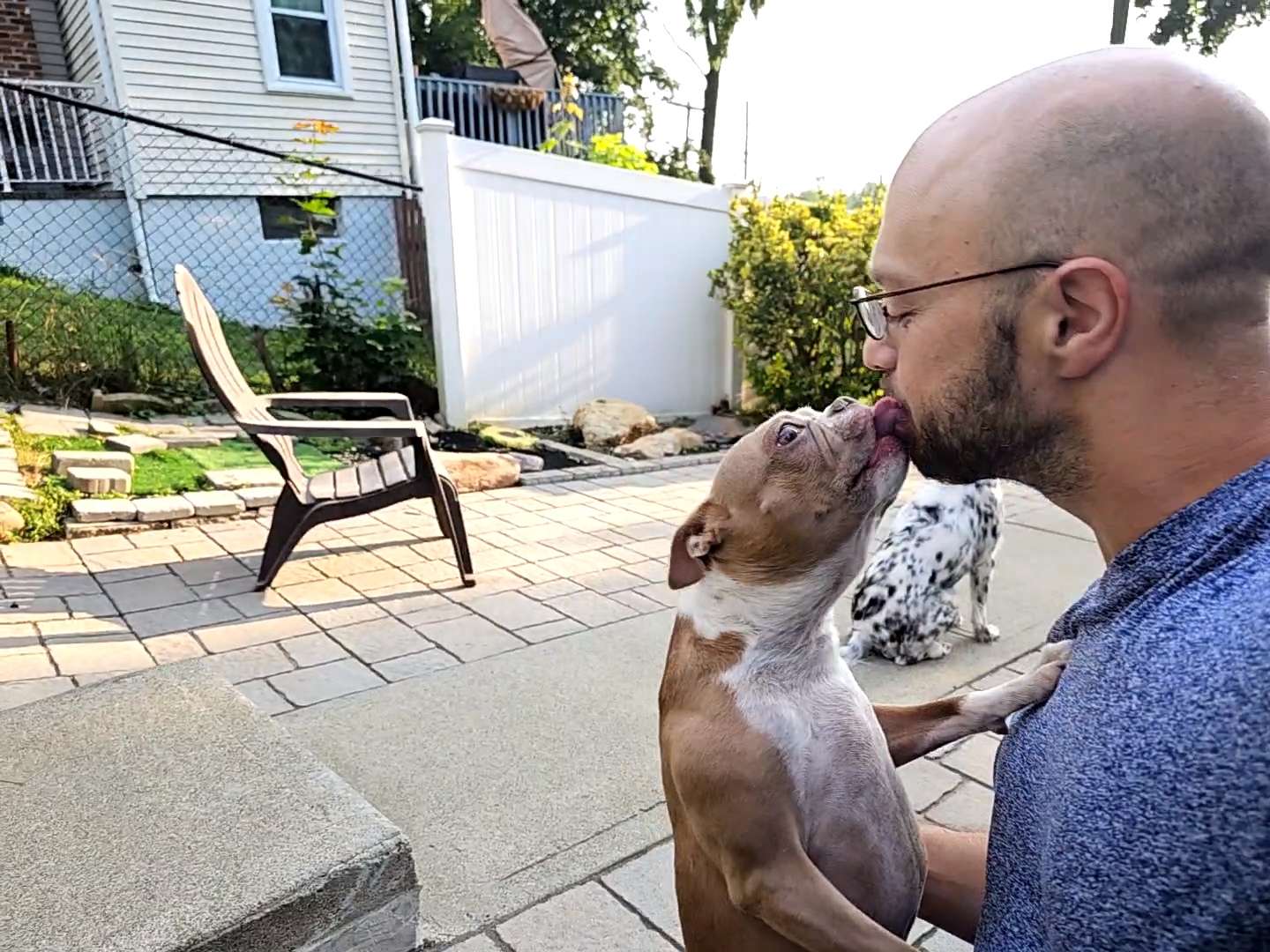 The Pet's Tale - Photo 4