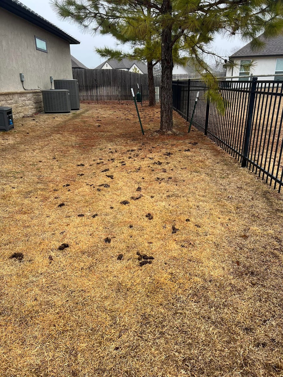 Scoop'D Dept. - Pet Waste Removal - Photo 2