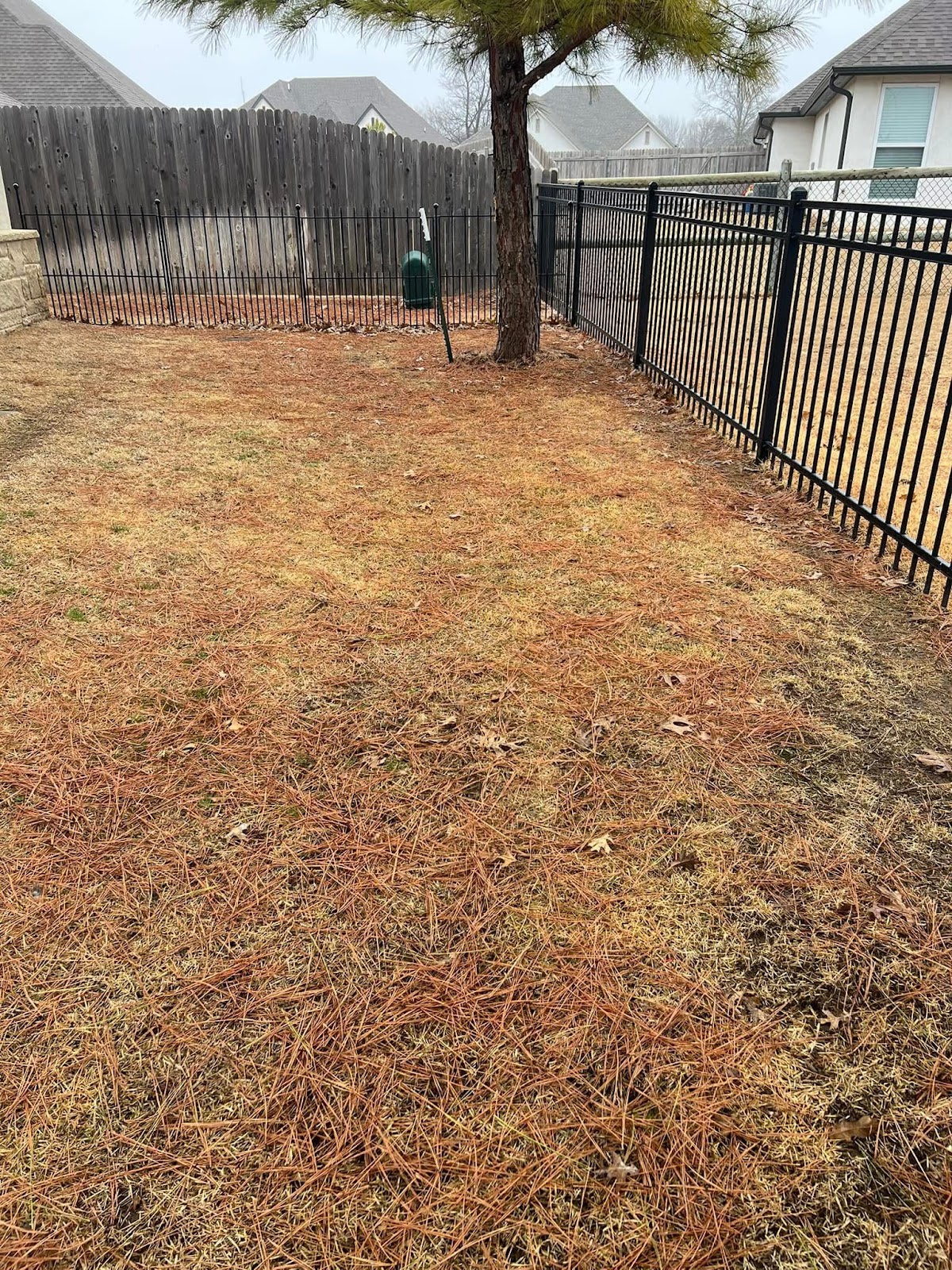 Scoop'D Dept. - Pet Waste Removal - Photo 3