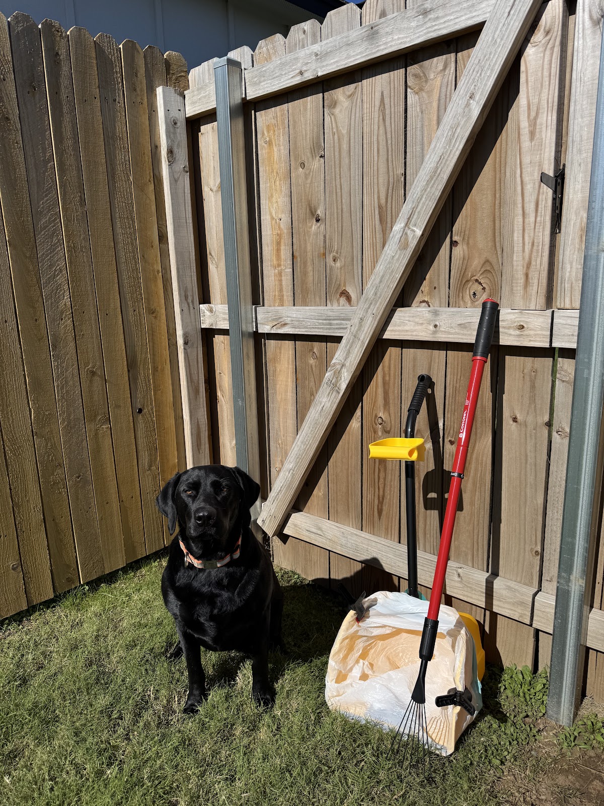 Poop Commanders, LLC - Photo 3