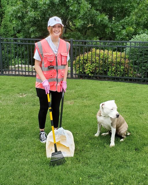 The Poop Fairy - Photo 2