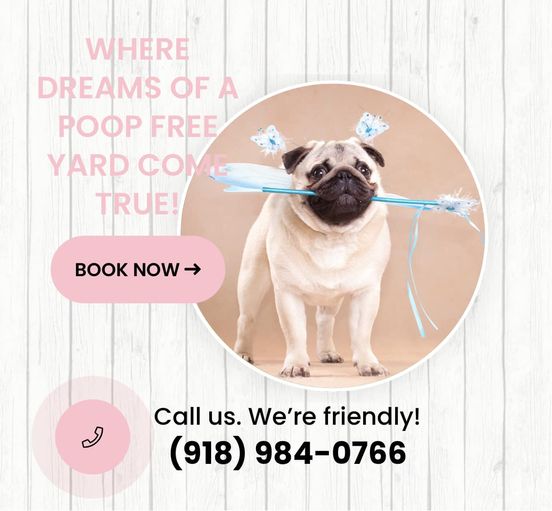 The Poop Fairy - Photo 4