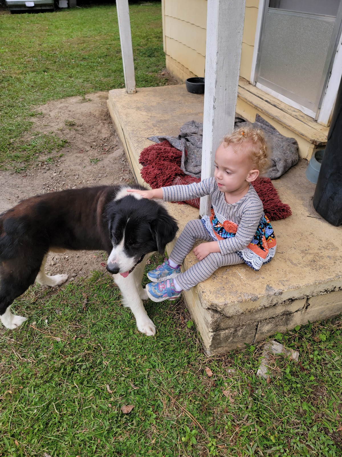 Scoop-A-Poop LLC - Photo 3