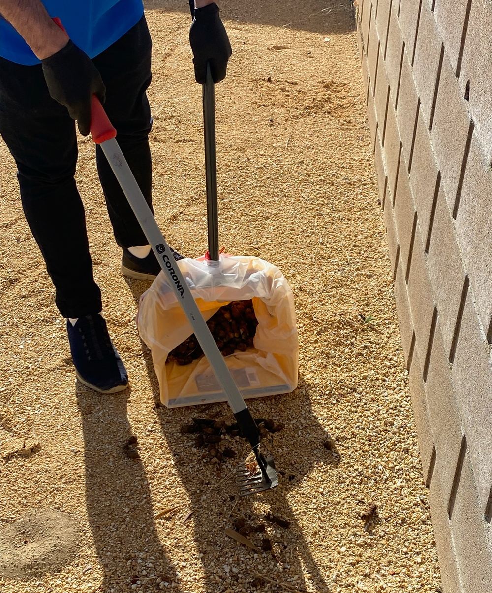 Royal Pooper Scooper - Photo 2