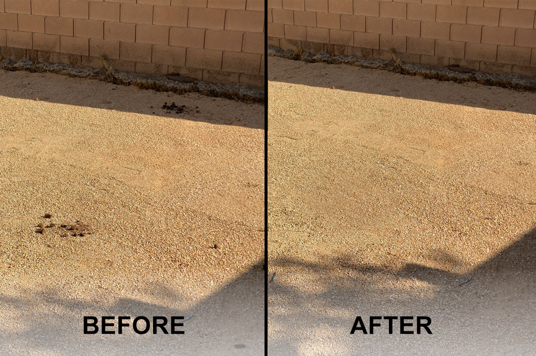 Royal Pooper Scooper - Photo 4