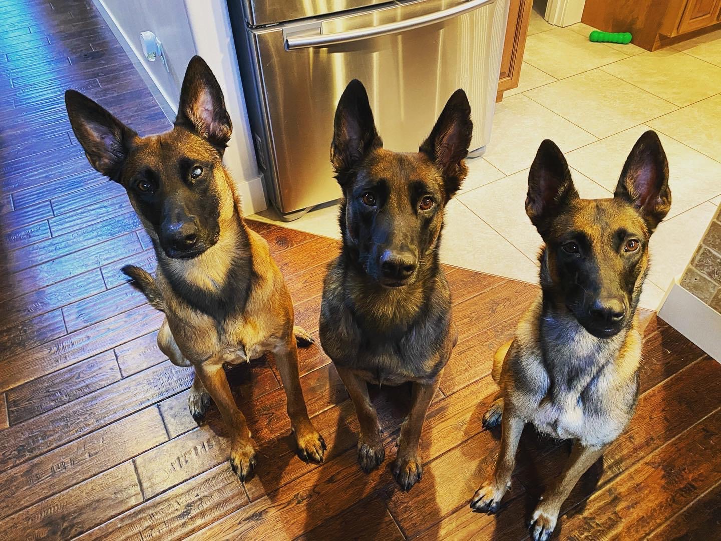 Aiken Scoop Group LLC