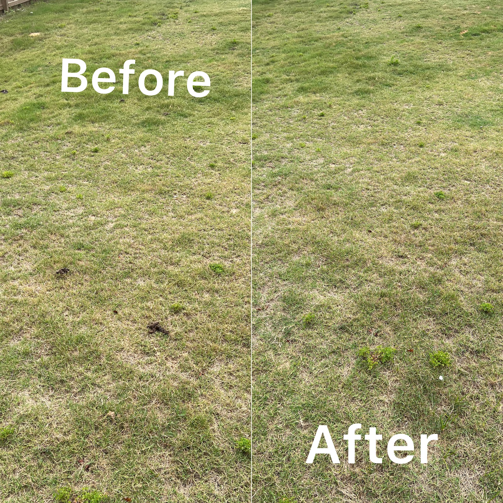 Aiken Scoop Group LLC - Photo 2