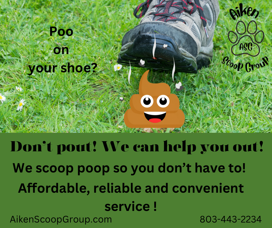 Aiken Scoop Group LLC - Photo 4