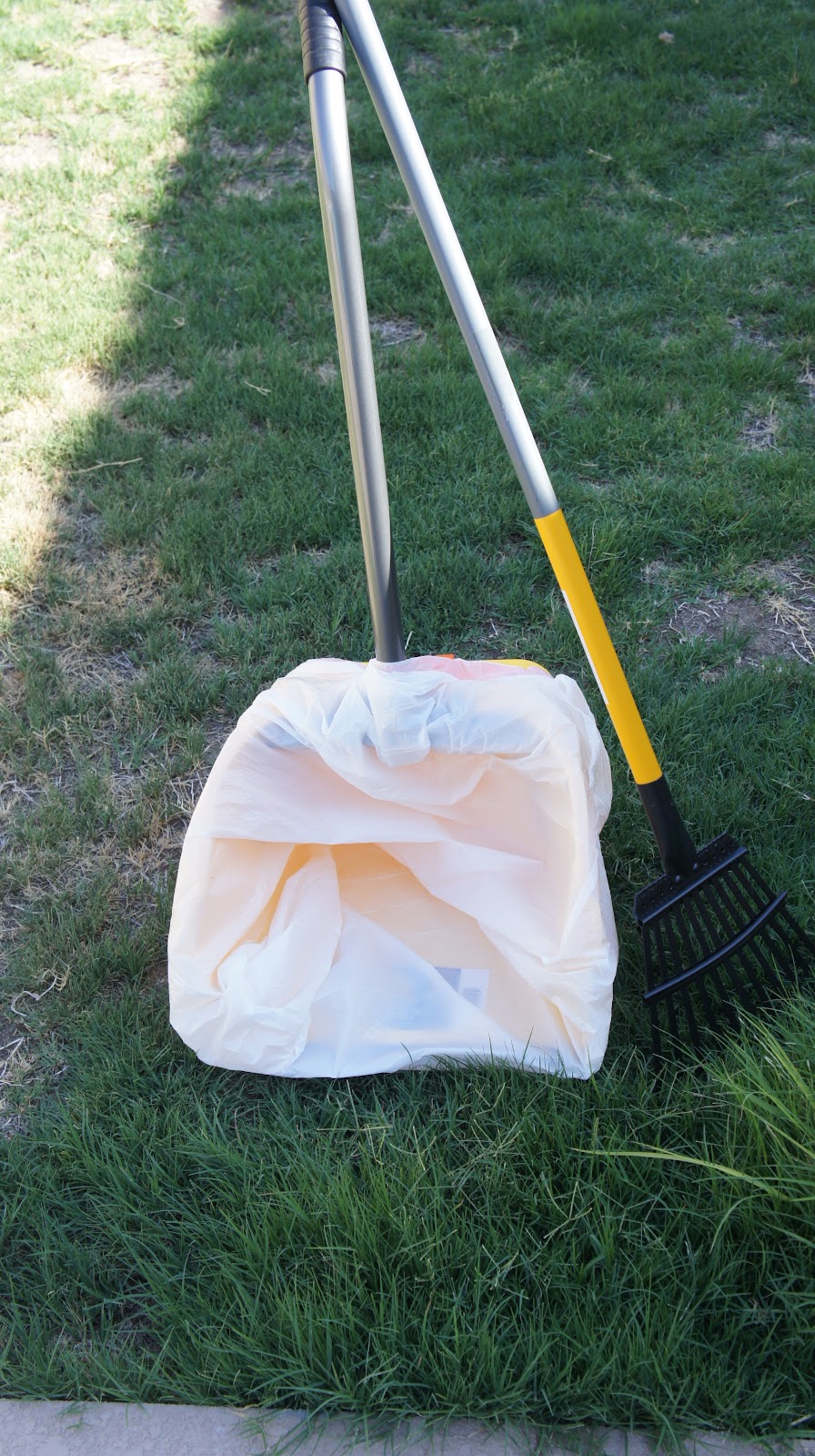 Dog-Gone-Pooh - Photo 2