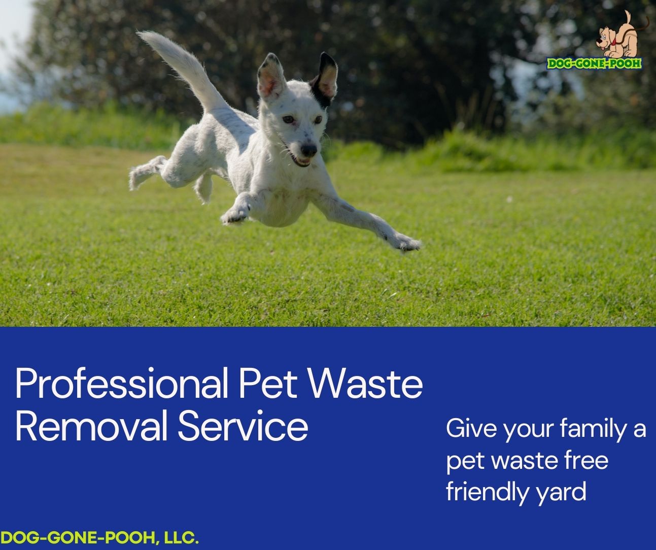 Dog-Gone-Pooh - Photo 3