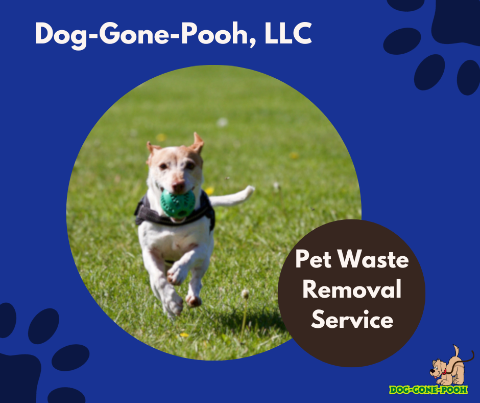 Dog-Gone-Pooh - Photo 4