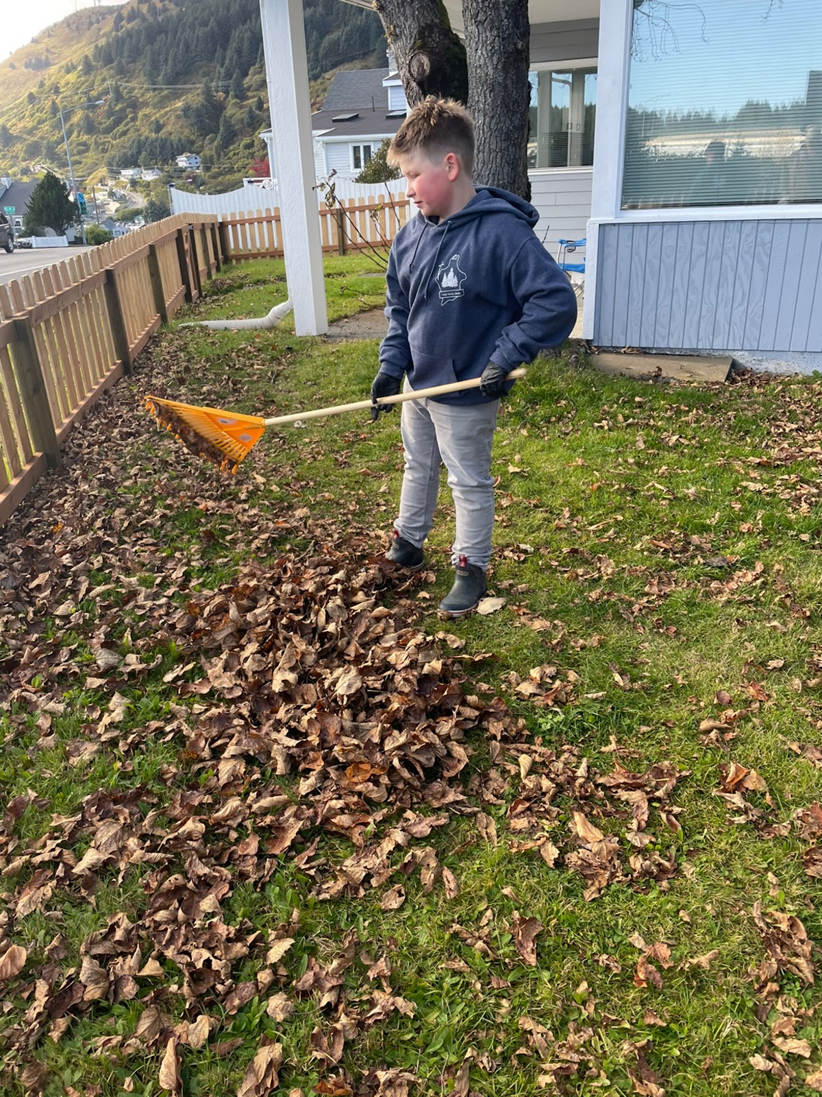 Wild Crappers Pet Waste Removal