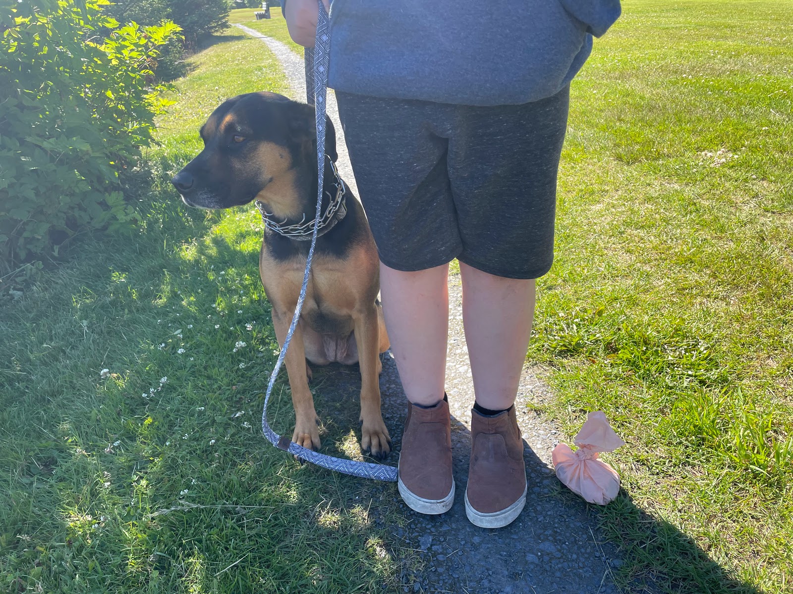 Wild Crappers Pet Waste Removal - Photo 3