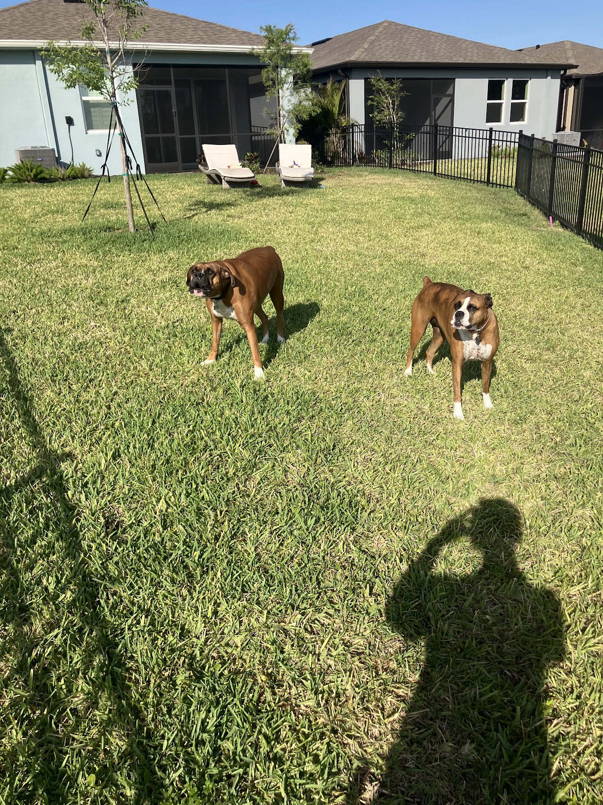 K9 Turf Solutions LLC - Tampa Bay