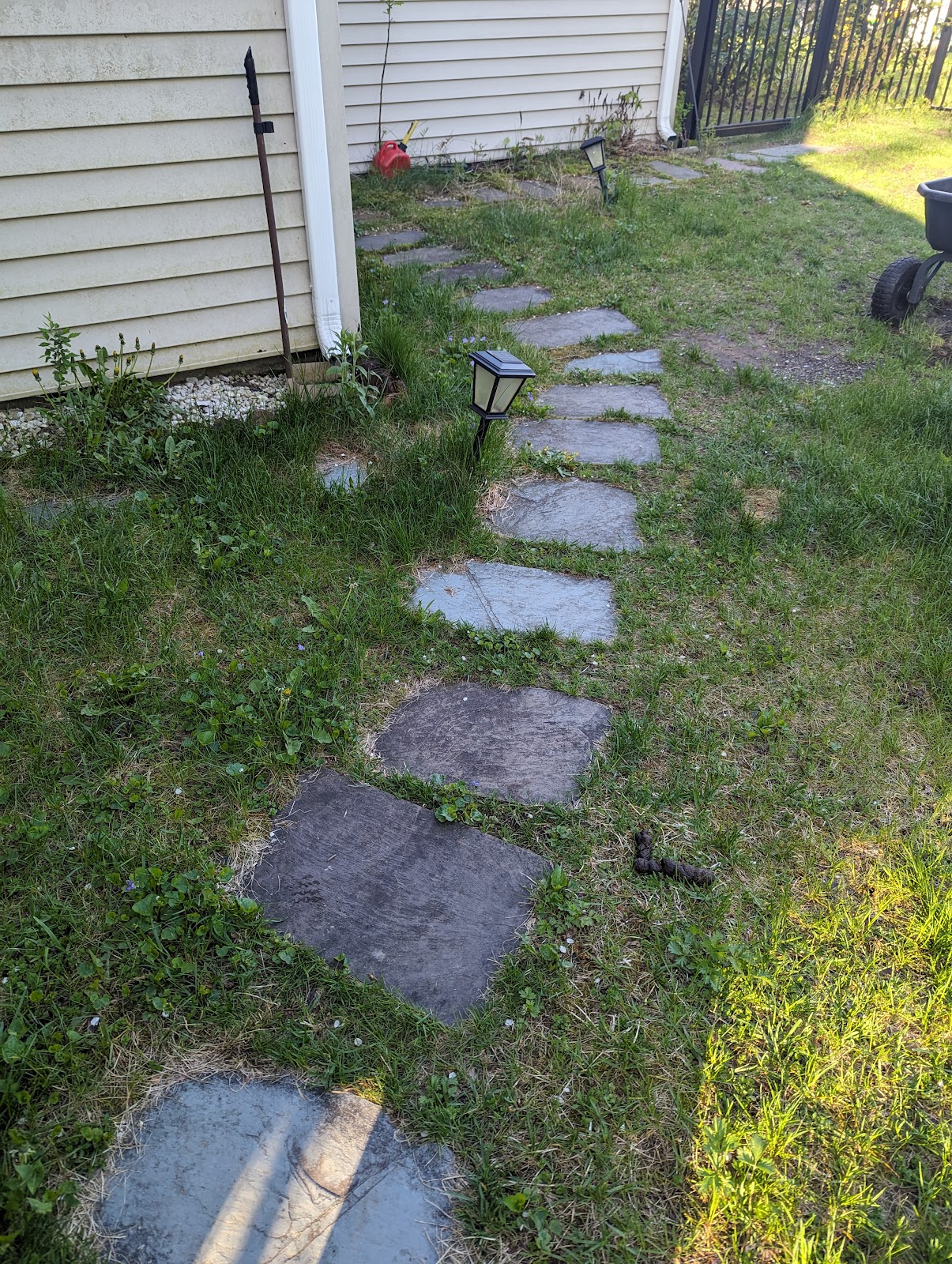 Too Pooped To Scoop - Photo 2