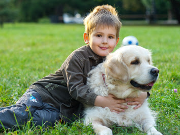 D's Doggie Doo Disposal - Photo 2