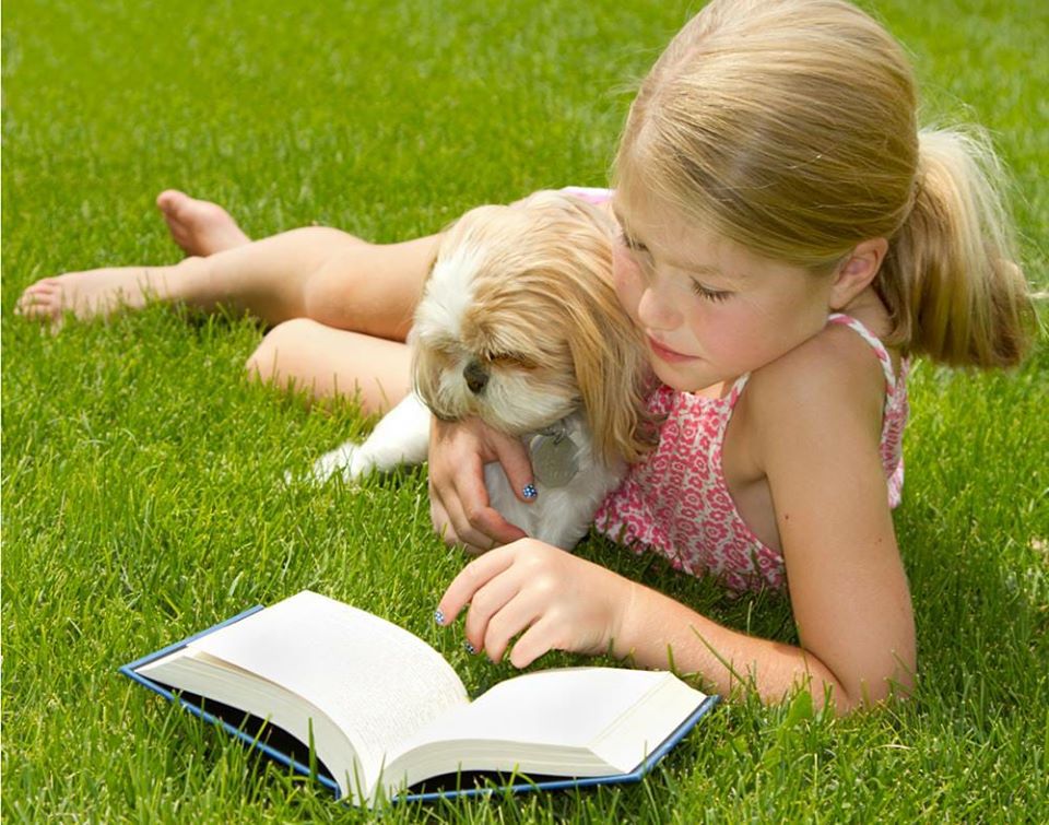 D's Doggie Doo Disposal - Photo 4