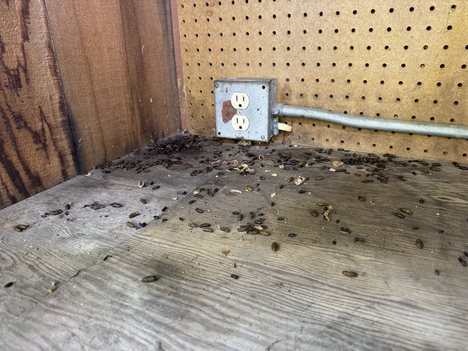 The Pooper Picker Upper - Photo 3