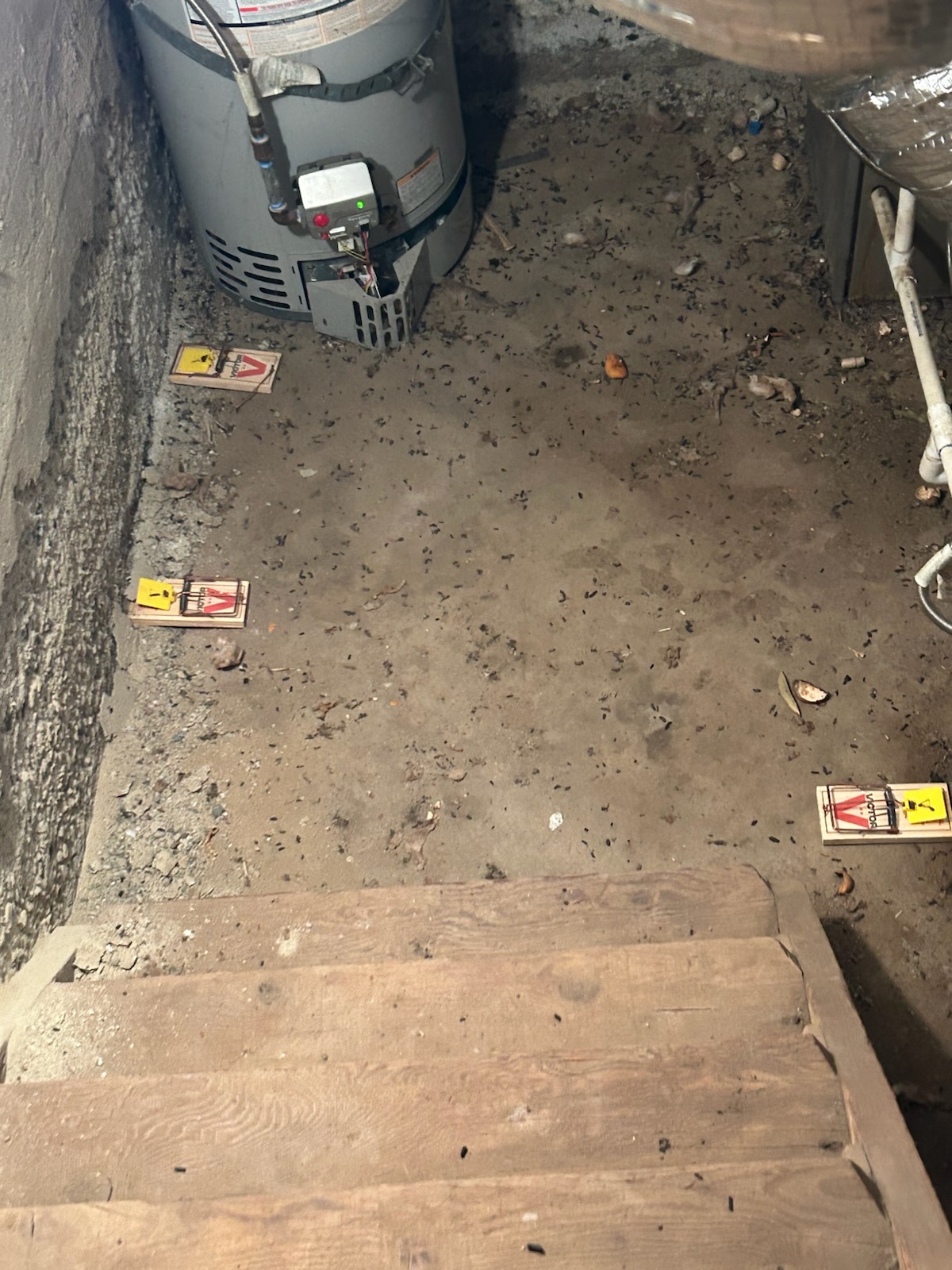 The Pooper Picker Upper - Photo 4