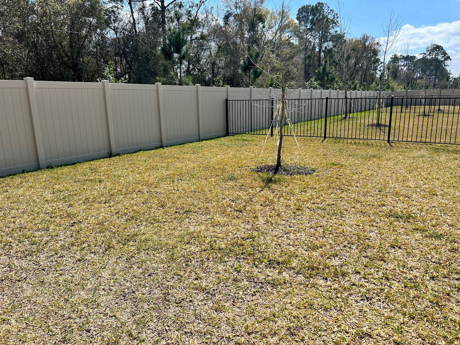 Premier Poop Patrol - Photo 2