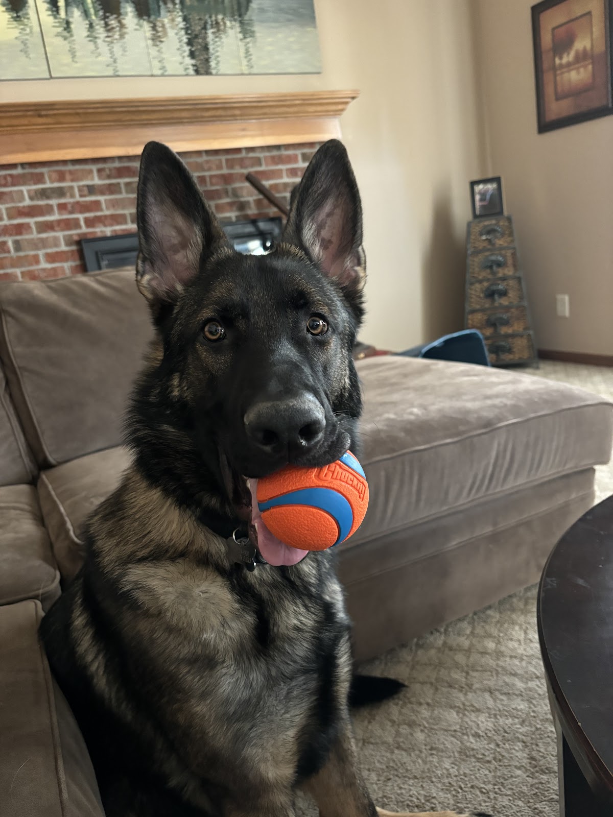 Scoop Detectives - Photo 3