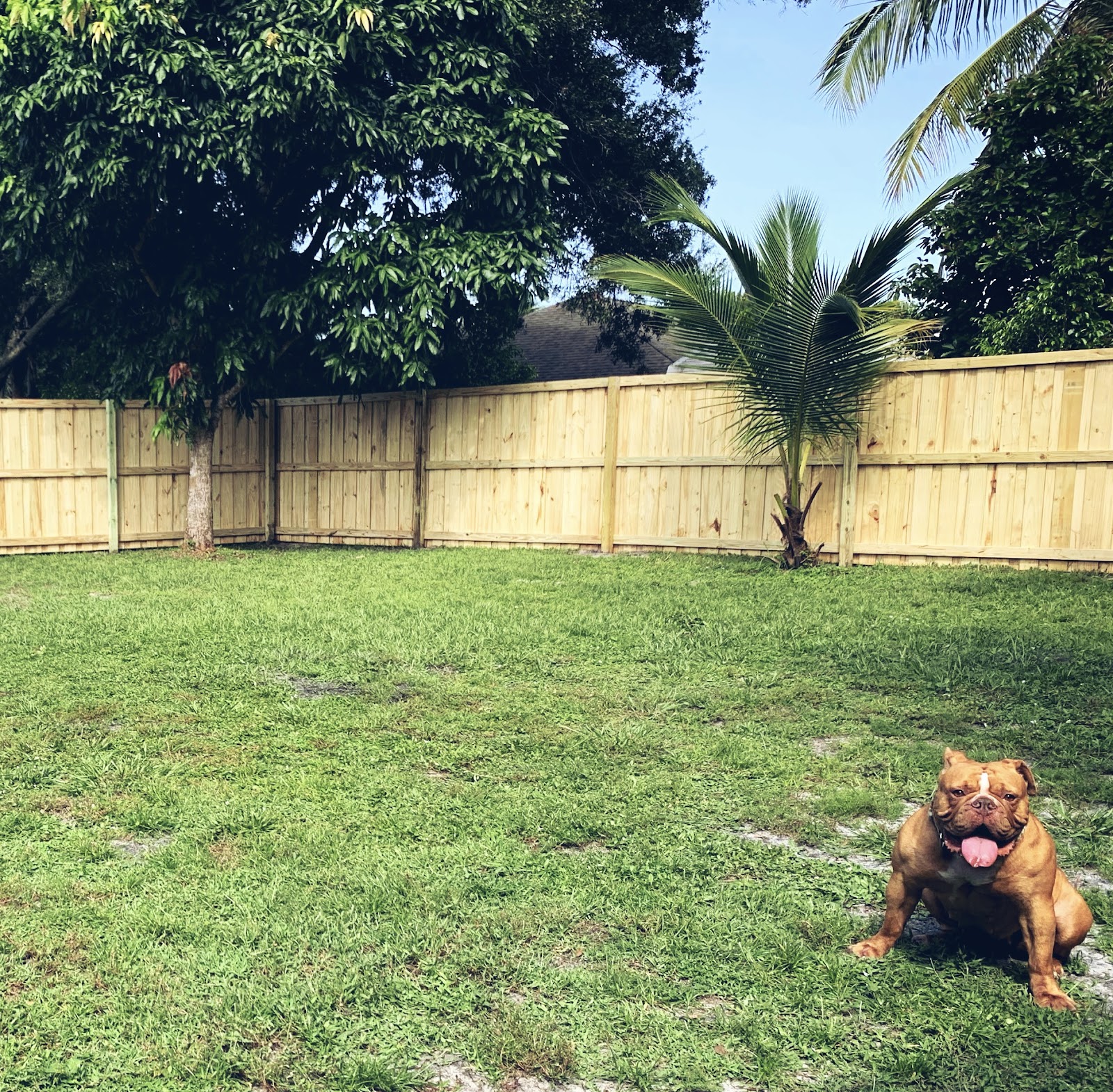 Doggy Duty - Photo 2