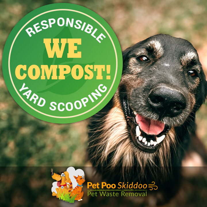 Pet Poo Skiddoo