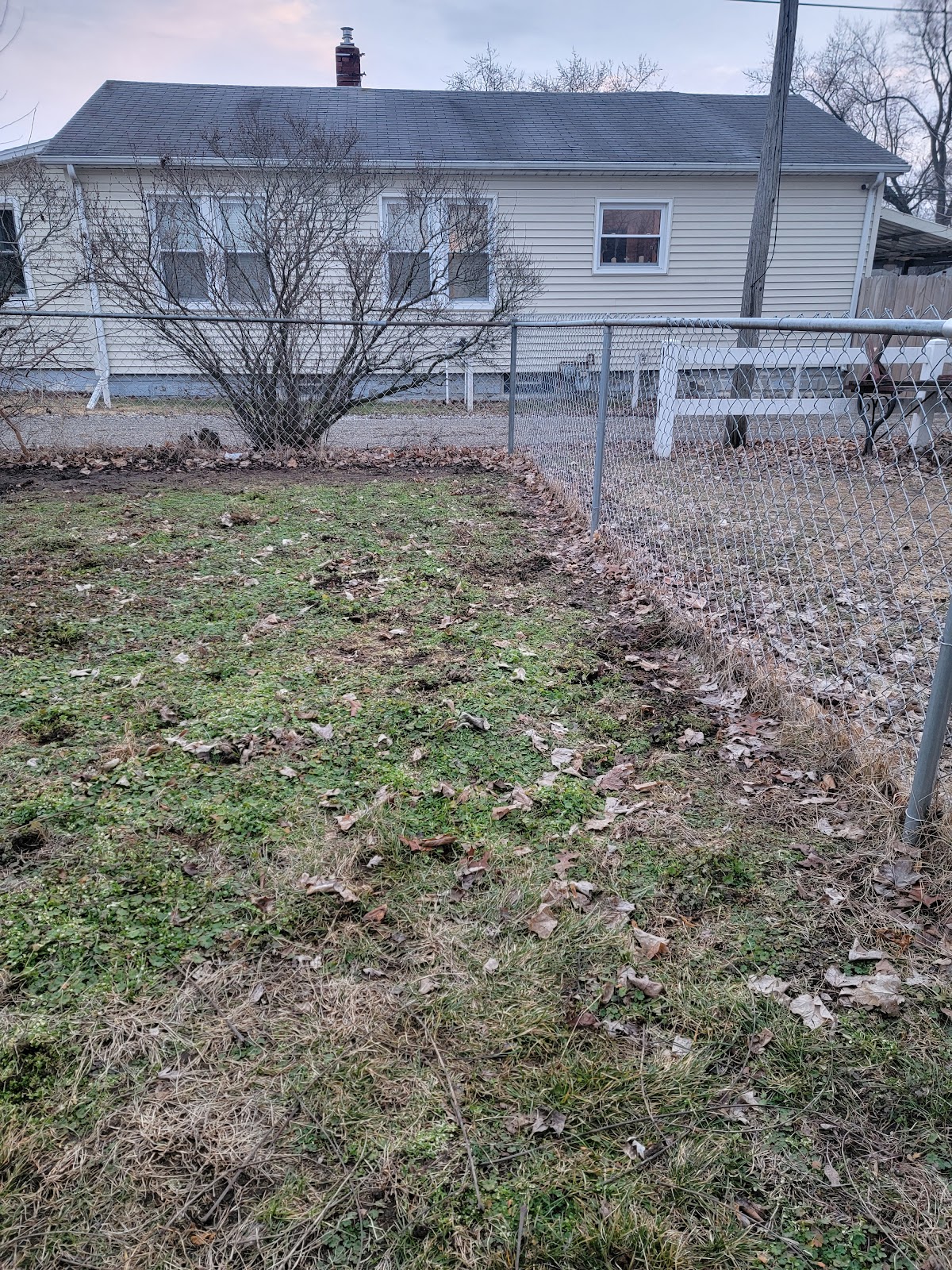 Dad's Poop Scooping - Photo 2