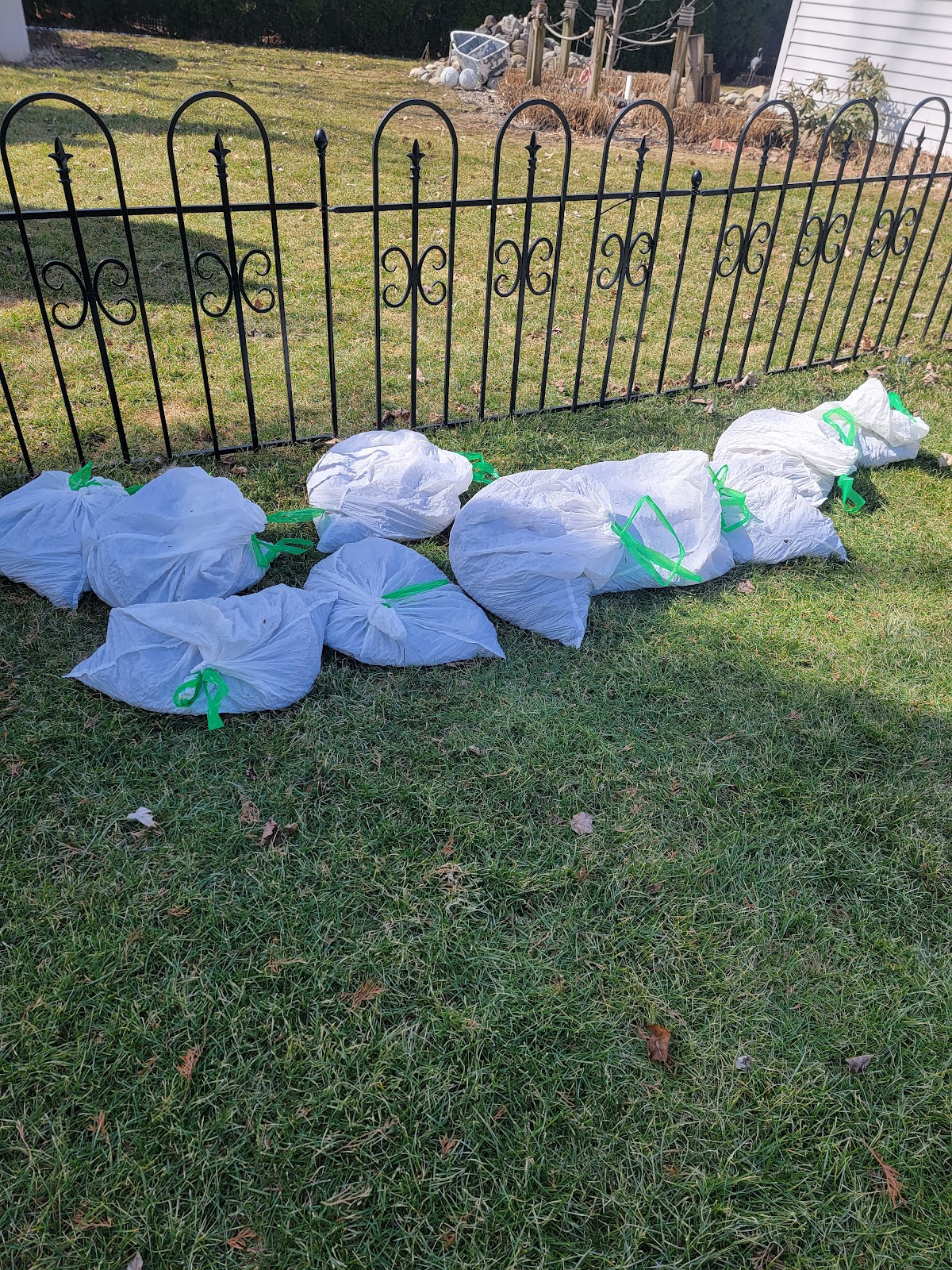 Dad's Poop Scooping - Photo 4