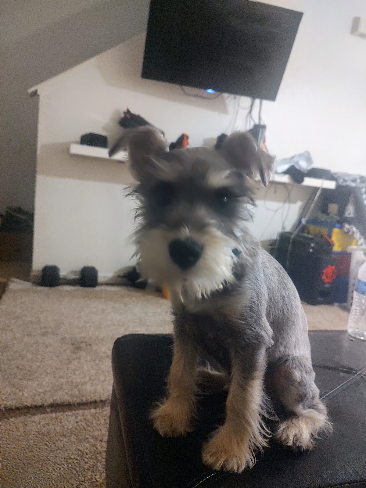 Coyote Scoop LLC - Photo 3