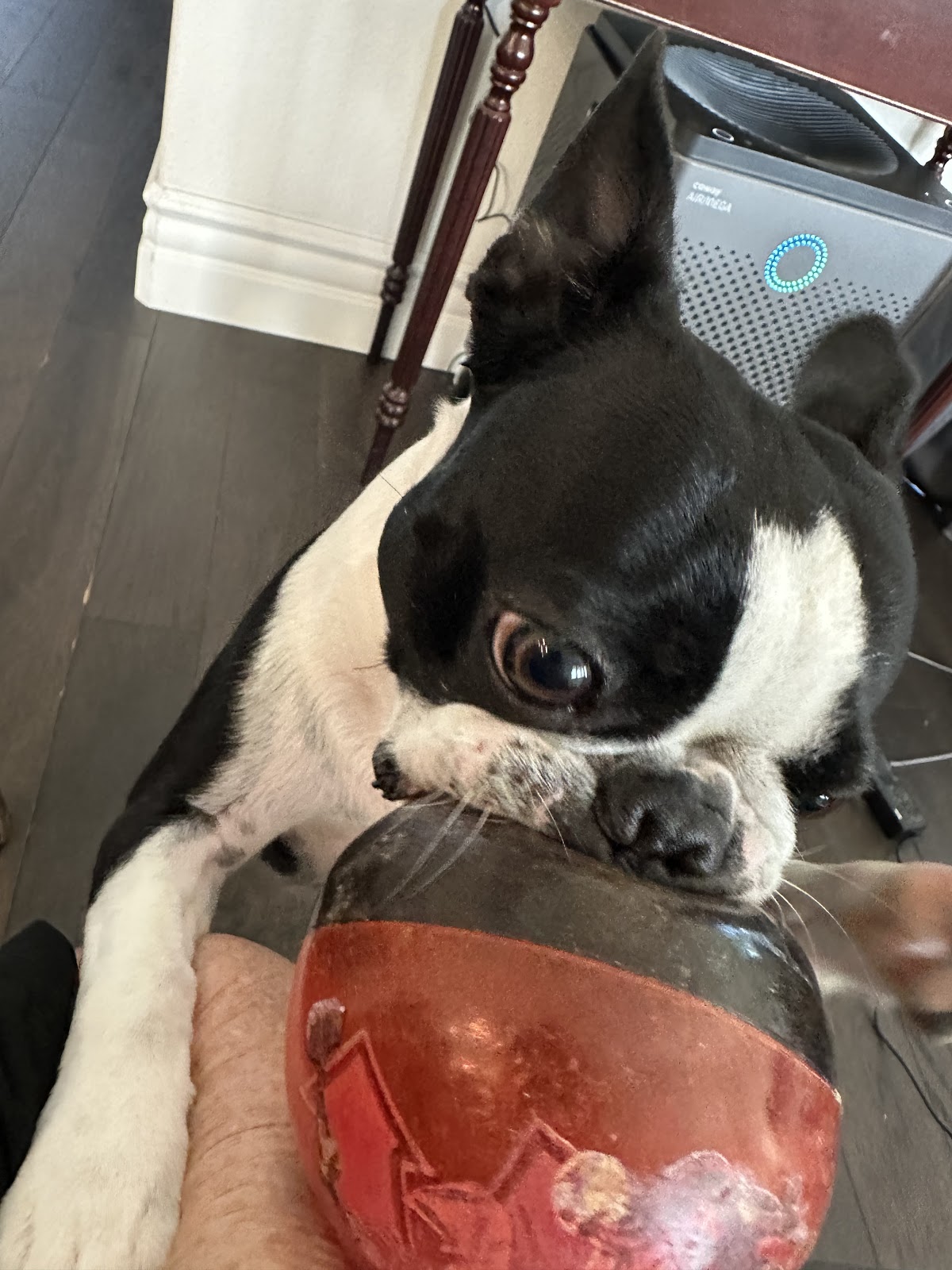 Coyote Scoop LLC - Photo 4