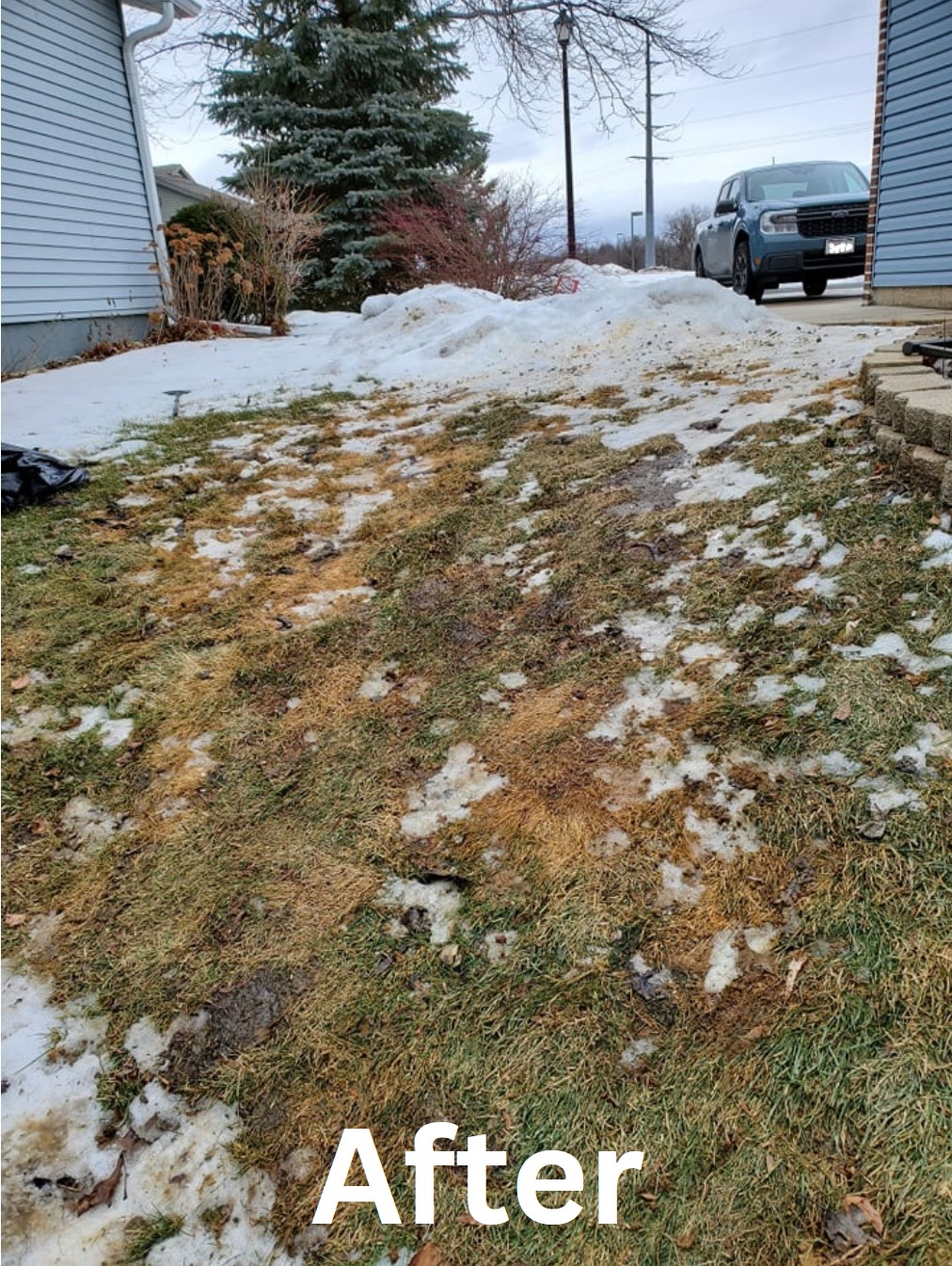 Poopah Scoopah - Photo 2